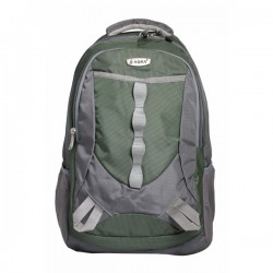 Aqsa ALB54 Stylish Laptop Bag (Mehndi and Grey)